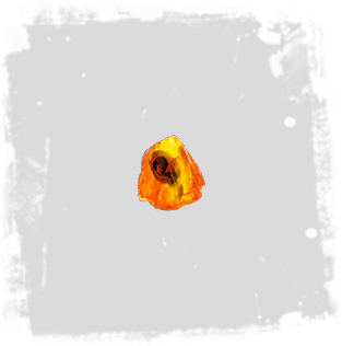 Pristine_Fossil