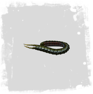 Ryslatha_Coil