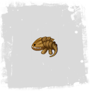 Companion Baby Bulette Companion Baby Bulette