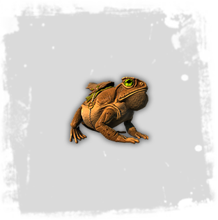 Legendary Giant Toad