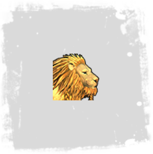 Swift Golden Lion