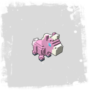 cotton-candy