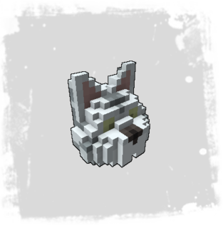 silver-tabby-meownt