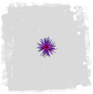 Blessing-of-Chayula