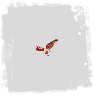 Splinter-of-Xoph