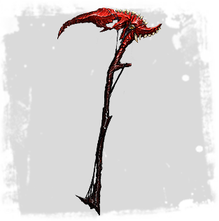 The-Harvest