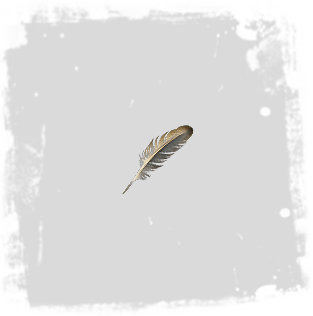 Albino Rhoa Feather