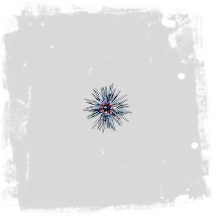 Blessing_of_Tul_inventory_icon