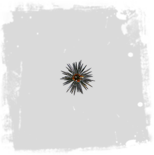 Blessing_of_Uul-Netol_inventory_icon